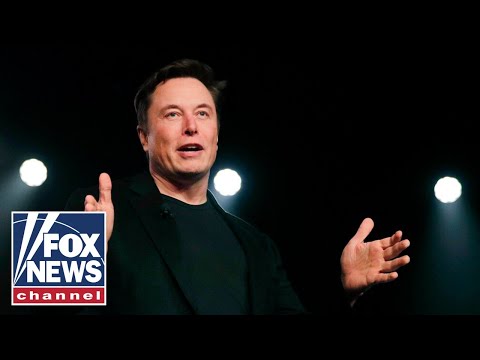 Elon Musk calls out Soros and son: It 'needs to stop'