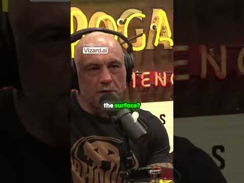 @joerogan @ElonMusk-FanZone