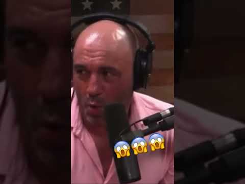 Joe and Elon fix traffic!!! @RoeJoganMoments @joerogan @ElonMusk-FanZone ​⁠