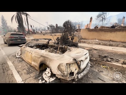 EXCLUSIVE: Shocking Video of California Wildfire Aftermath in LA County