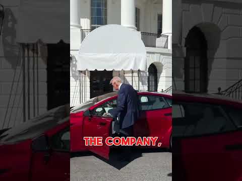 #elonmusk #tmz #tesla #donaldtrump #trump #unitedstates #rap @ElonMusk-FanZone @TMZ