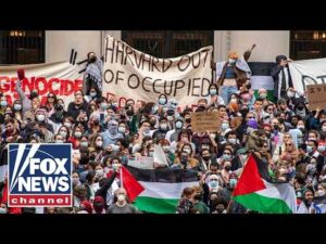 'Teaching and preaching antisemitism': Former Harvard professor issues warning