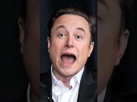Elon musk vibe #elonmusk @ElonMusk-FanZone