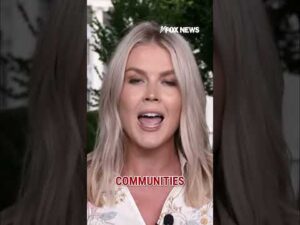 Karoline Leavitt calls out 'stupid Stacey Abrams' #foxnews #news #politics #shorts