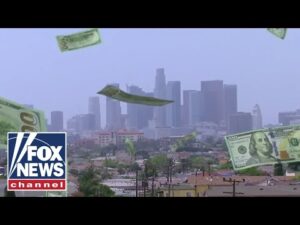 FOLLOWING THE MONEY: Where did LA ‘FireAid’ funds go?