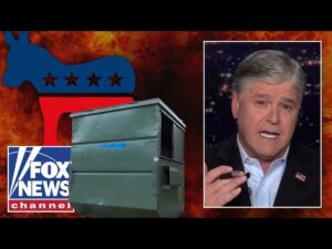 Inside the 'dumpster fire' that is the Democratic Party