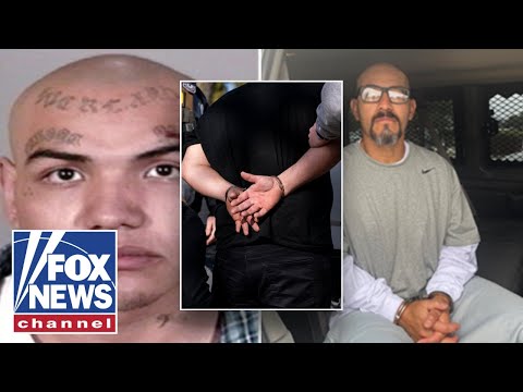 Jaw-dropping number of migrant arrests in LA revealed