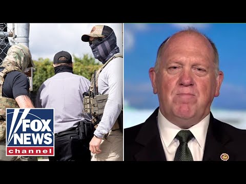 Homan vows to get to the bottom of anti-ICE protests