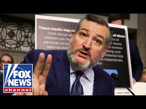 'IMPEACH!': Cruz BLASTS judge for lax sentencing