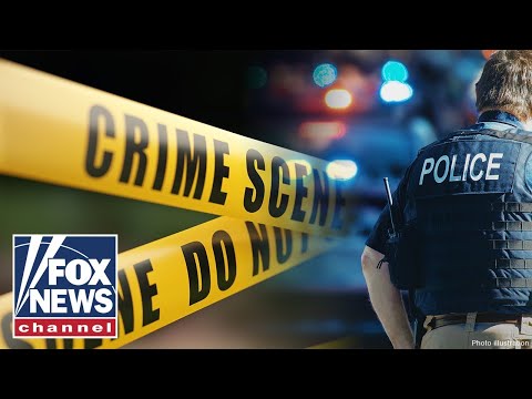 Trump DOJ finds evidence Democrats are skewing crime statistics: Report