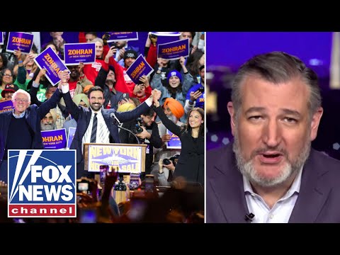 Ted Cruz: They have 'LOST THEIR MINDS!'