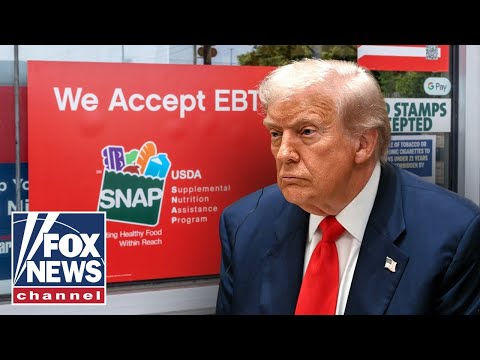 ‘MASSIVE FRAUD’: Trump admin sounds alarm on SNAP program abuse
