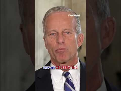 Thune: 'Reasonable' Dems being 'BULLIED' by far-left #shutdown #foxnews #fox #thune