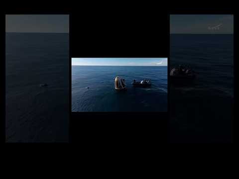Dolphins join splashdown celebration ​⁠​@ElonMusk-FanZone @SpacetoonYouTube  #space #shorts