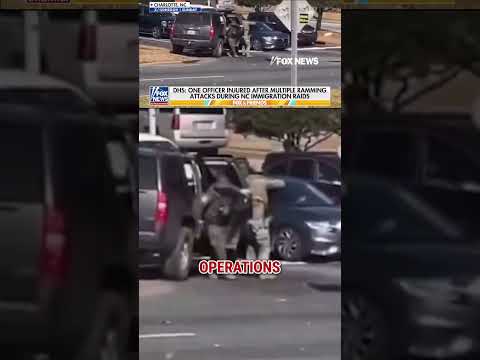 NEW: ICE arrests 100+ illegal immigrants in NC crackdown #shorts