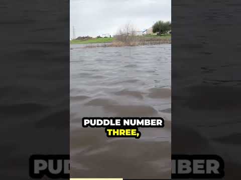 cybertruck survives a flooding puddle @tesla   @ElonMusk-FanZone