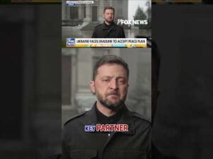 'DIFFICULT DECISION': Zelenskyy voices concern over Trump's peace deal with Russia #foxnews #us #fox