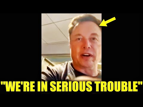 Elon Musk Confirms the Alien Rumors Aren’t Just Rumors
