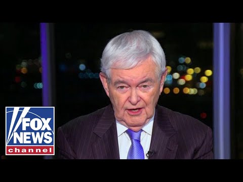 Newt Gingrich has a message for Europe…