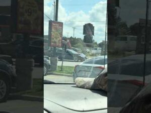 Damn self driving cars 😤 common @ElonMusk-FanZone  #tesla #accident #whoops