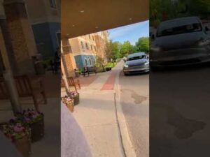 can you take your Tesla for a walk? @ElonMusk-FanZone