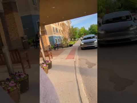 can you take your Tesla for a walk? @ElonMusk-FanZone