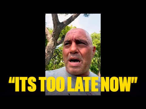 Joe Rogan Realizes the Danger After Elon Musk Drops a Final Warning