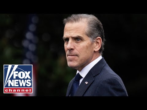 Hunter Biden makes 'UNBELIEVABLE' admission: 'Voice of sanity'