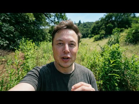 The Vision That Made Me Follow Jesus Christ | Elon Musk