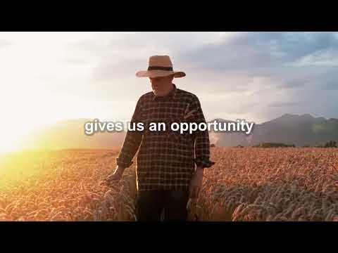 Angevine. @Chief_godlove , @ElonMusk-FanZone