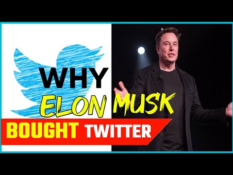 Why @ElonMusk-FanZone  Bought Twitter |🤐🤯| #shorts #ytshorts