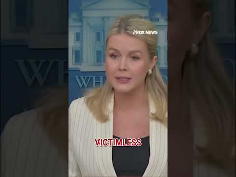 Karoline Leavitt GOES OFF on CBS News over 'non-violent crimes' #foxnews #news #us #fox