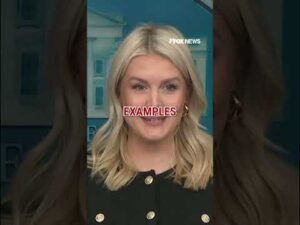 ‘YOU’RE KIDDING ME’: Leavitt asked by reporter for examples of Trump being called ‘racist’ #shorts