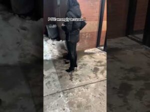 @ElonMusk-FanZone @ElonMusk-11-l5w I was wrongly accused. New York do better💯💯🤔 tbh #trending