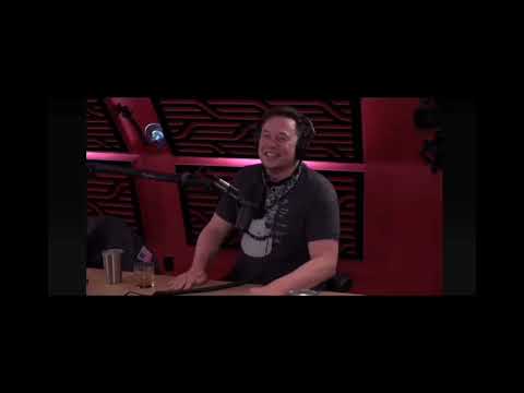 Elon Musk haha $haha @ElonMusk-FanZone @ElonMuskAddict @hahahasaki