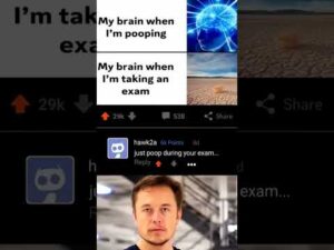 elon musk 2.0 💀 @ElonMusk-FanZone