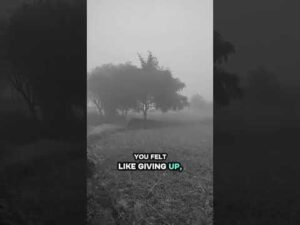 kindly send me a direct message to my email elonmuskfanzone6@gmail.com