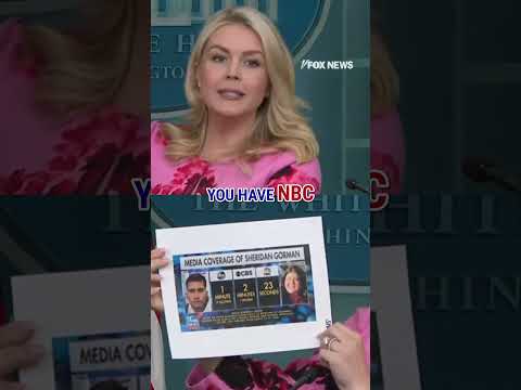 NEW: Karoline Leavitt puts the mainstream media on BLAST #shorts #foxnews #politics