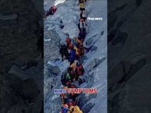 Mt Everest $20 million fraud scheme EXPOSED #shorts #us #world #nepal