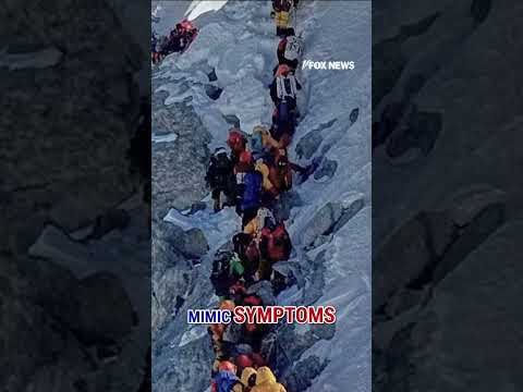 Mt Everest $20 million fraud scheme EXPOSED #shorts #us #world #nepal