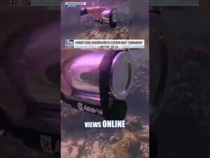 SEE IT: Parrot goes under the sea in DIY submarine #foxnews #news #shorts #animals #diy