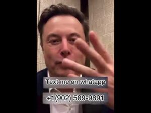 Real fans should send direct messages #elon @Musk_Fans @ElonMusk-FanZone @elonwatches @XTesl @tesla