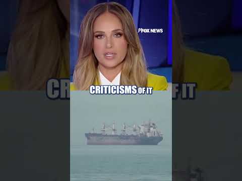 They are ‘UNDERMINING’ our country: Tomi Lahren #foxnews #news #us