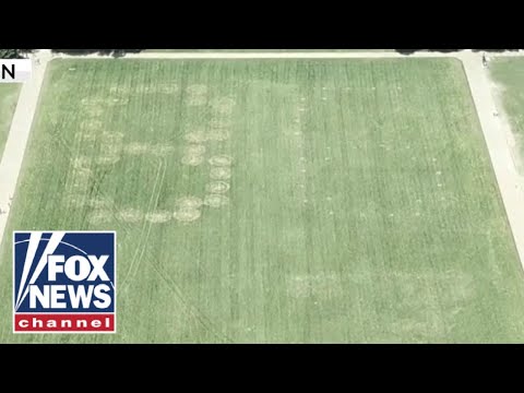'86 47' VANDALIZED on grass at National Mall