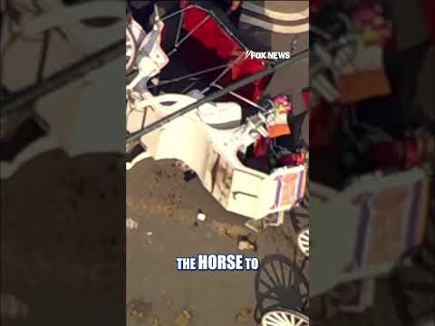 Teen KILLED after horse drawn carriages COLLIDE #foxnews #news #us #fox