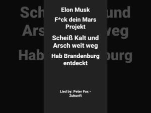 @peterfoxofficial disst Reichsten Mann @ElonMusk-FanZone