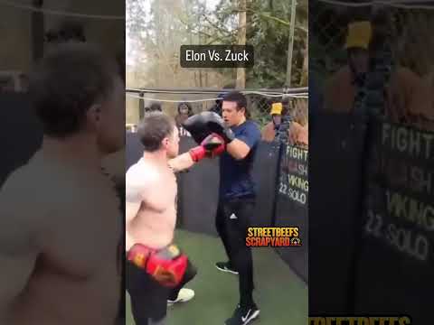 Musk vs Zuck #boxing #elonmusk #markzuckerberg #Musk #Zuck #elon #mma #ufc #ufc #mma #fight #ko