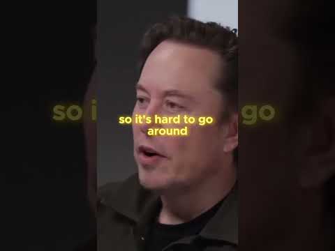 Elon Musk on the Challenges of Fame #elonmusk #elonmuskquote #elonmuskmotivation #elon #jre