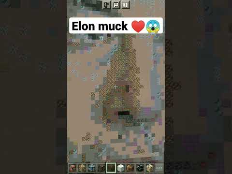best @ElonMusk-FanZone picture in Minecraft ♥️🙏 #minecraft #yttrending #ytshortsindia #minecraftshort
